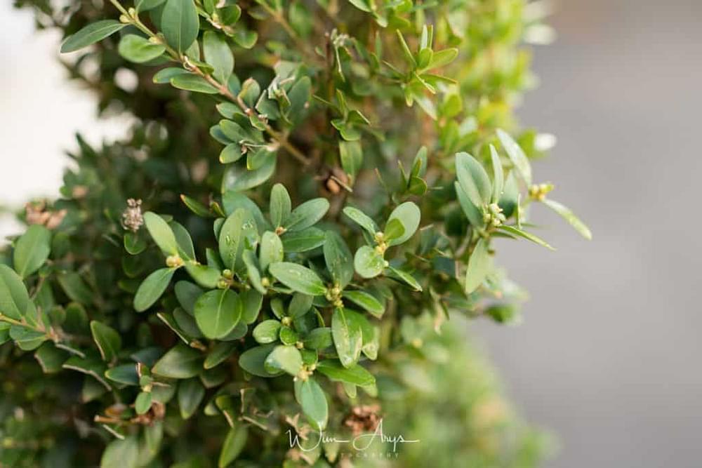 bokeh at f/2.8