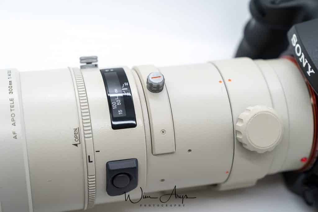 Review: Test Minolta AF 300mm F4 HS APO G A-Mount on Sony A99ii for Color,  Sharpness & Bokeh